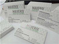 Business Card (Spot UV)